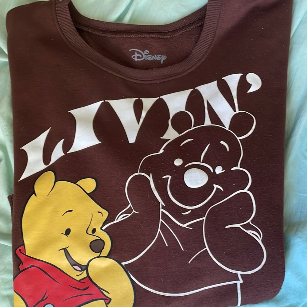 Disney Brown and Yellow Winnie the Pooh Sweatshirt